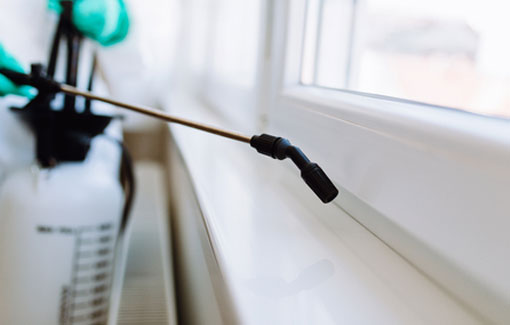 pest-control pest-control-services